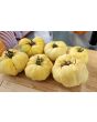 Tomato 'Ghost' Seeds (Certified Organic)