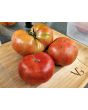 Tomato 'Beefmaster F2' Seeds (Certified Organic)