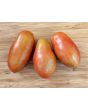 Tomato 'Chico III' Seeds (Certified Organic) 