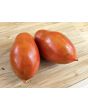 Tomato 'Ropreco Paste' Seeds (Certified Organic)