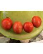 Tomato 'Apollo' Seeds (Certified Organic)
