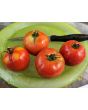 Tomato 'Super Sioux' Seeds (Certified Organic)