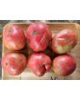 Tomato 'Marianna's Peace' Seeds (Certified Organic)