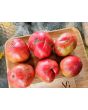 Tomato 'Marianna's Peace' Seeds (Certified Organic)