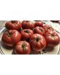 Tomato 'Early Detroit' Seeds (Certified Organic)