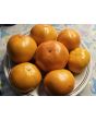 Tomato 'Sunny Goliath Jubilee' Seeds (Certified Organic)