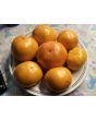 Tomato 'Sunny Goliath Jubilee' Seeds (Certified Organic)
