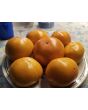 Tomato 'Sunny Goliath Jubilee' Seeds (Certified Organic)