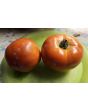 Tomato 'Italian Beefsteak' Seeds (Certified Organic)
