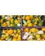 The Ultimate Gourd Seed Mix