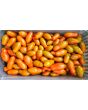 Tomato 'Sun Dipper F2' Seeds (Certified Organic)