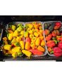 Sweet Pepper 'Lunch Box Yellow' Seeds (Certified Organic)