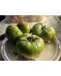 Tomato 'Absinthe' Seeds (Certified Organic)