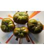 Tomato 'Black Sea Man' Seeds (Certified Organic)