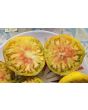 Tomato 'Big Rainbow' Seeds (Certified Organic)