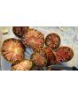 Tomato 'Black Krim' Seeds (Certified Organic)