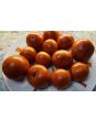 Tomato 'New Yorker' Seeds (Certified Organic)