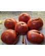 Tomato 'Missouri Pink Love Apple’ Seeds (Certified Organic)