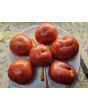 Tomato 'Missouri Pink Love Apple’ Seeds (Certified Organic)