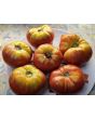 Tomato 'Missouri Pink Love Apple’ Seeds (Certified Organic)