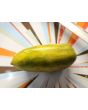 Tomato 'Green Sausage' Seeds (Certified Organic)