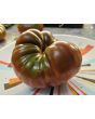 Tomato 'Black Altai' Seeds (Certified Organic)