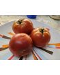 Tomato 'Boxcar Willie' Seeds (Certified Organic)