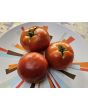 Tomato 'Boxcar Willie' Seeds (Certified Organic)