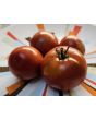 Tomato 'Super Sioux' Seeds (Certified Organic)
