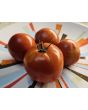Tomato 'Super Sioux' Seeds (Certified Organic)
