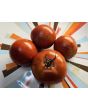 Tomato 'Super Sioux' Seeds (Certified Organic)