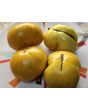Tomato 'Pork Chop' Seeds (Certified Organic)