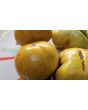 Tomato 'Pork Chop' Seeds (Certified Organic)