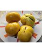 Tomato 'Pork Chop' Seeds (Certified Organic)