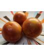 Tomato 'Red Zebra Cherry' Seeds (Certified Organic)