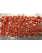 Tomato 'Mini Red Oval TR' Seeds (Certified Organic) 