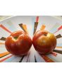 Tomato 'Adventure' Seeds (Certified Organic)