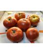 Tomato 'Marglobe Supreme' Seeds (Certified Organic)