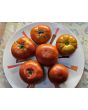 Tomato 'Marglobe Supreme' Seeds (Certified Organic)