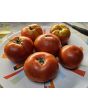 Tomato 'Marglobe Supreme' Seeds (Certified Organic)