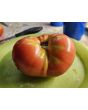 Tomato 'Aunt Lou's Underground Railroad' Seeds (Certified Organic)