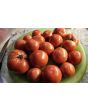 Tomato 'Livingston's Honor Bright' Seeds (Certified Organic)