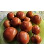 Dwarf Tomato 'Kangaroo Paw Brown' Seeds (Certified Organic)