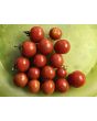 Tomato 'Supersweet 100 F2' Seeds (Certified Organic)
