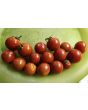 Tomato 'Supersweet 100 F2' Seeds (Certified Organic)