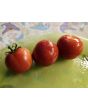 Tomato 'Clifford Red Cherry' Seeds (Certified Organic)