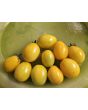 Tomato 'Chang Li' Seeds (Certified Organic)