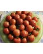 Tomato 'Gardener's Delight' Seeds (Certified Organic)