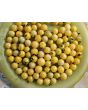 Tomato 'Coyote' Seeds (Certified Organic)