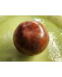 Tomato 'Rosso Bruno' AKA 'Kumato' Seeds (Certified Organic)